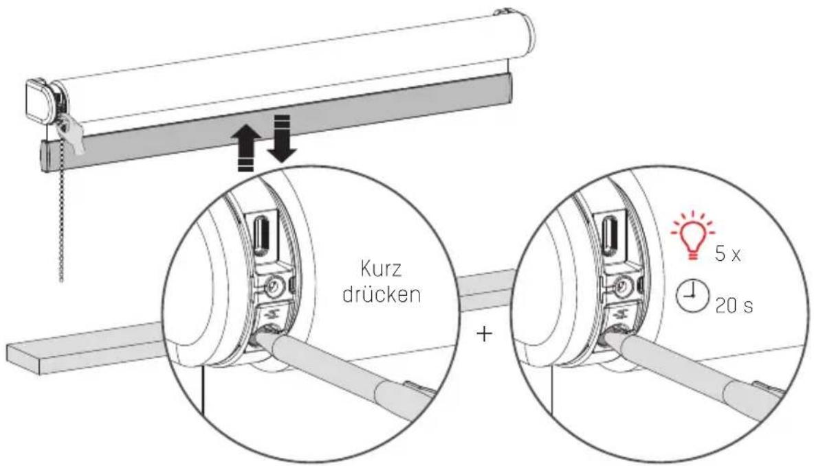 MOTION CMD02P - Rollo zurücksetzen - 1
