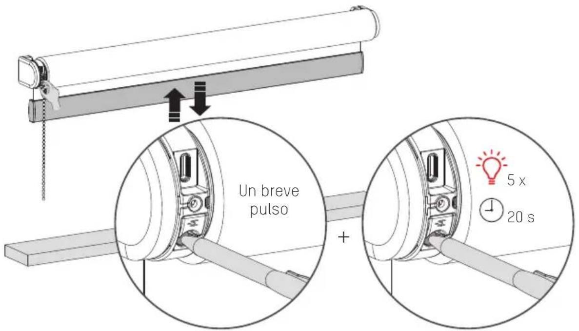 MOTION CMD02P - Restablecer la cortina - 1