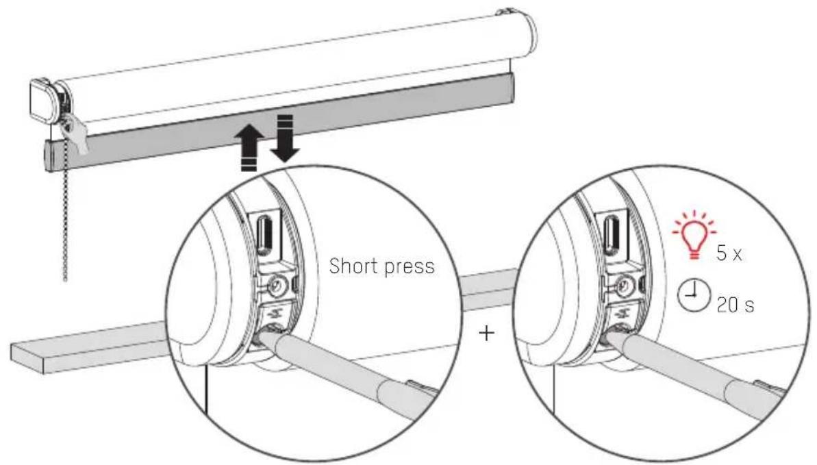 MOTION CMD02P - Reset the blind - 1