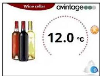 AVINTAGE DIVA305 - Temperature selection - 2