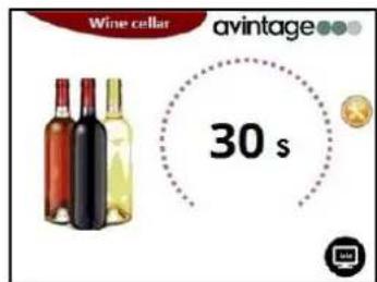 AVINTAGE DIVA305 - Screen safe setting - 2