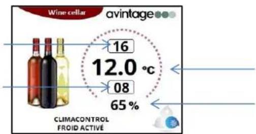 AVINTAGE DIVA305 - Veelzijdige wijnkast: - 1