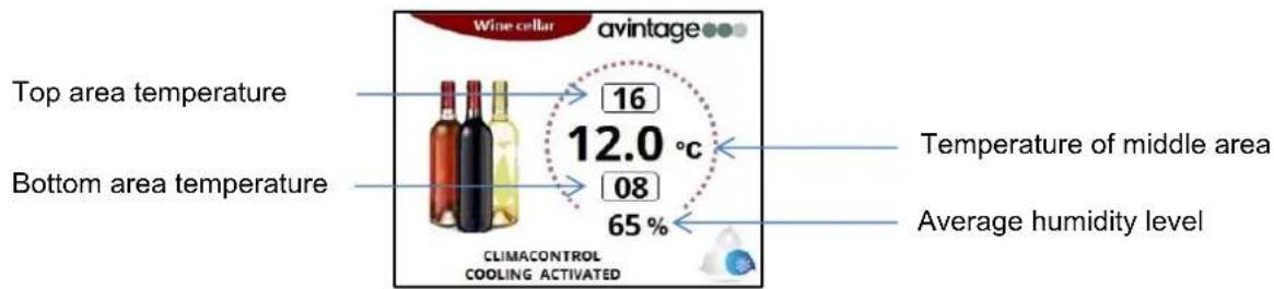 AVINTAGE DIVA305 - Multi-purpose wine cellar: - 1