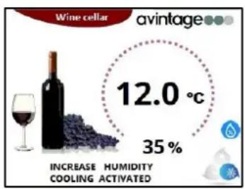 AVINTAGE DIVA305 - Relative humidity indicator - 1