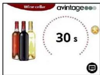 AVINTAGE DIVA305 - Schemveiligheidsinstalling - 2