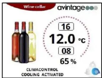 AVINTAGE DIVA305 - Multi-purpose wine cellars - 1