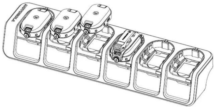 MOTOROLA CLP446e - Procedure: - 3