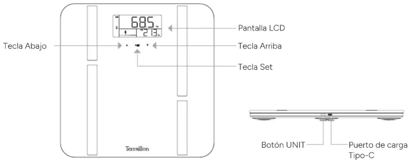 TERRAILLON XLine Fit - VISTA GENERAL - 1
