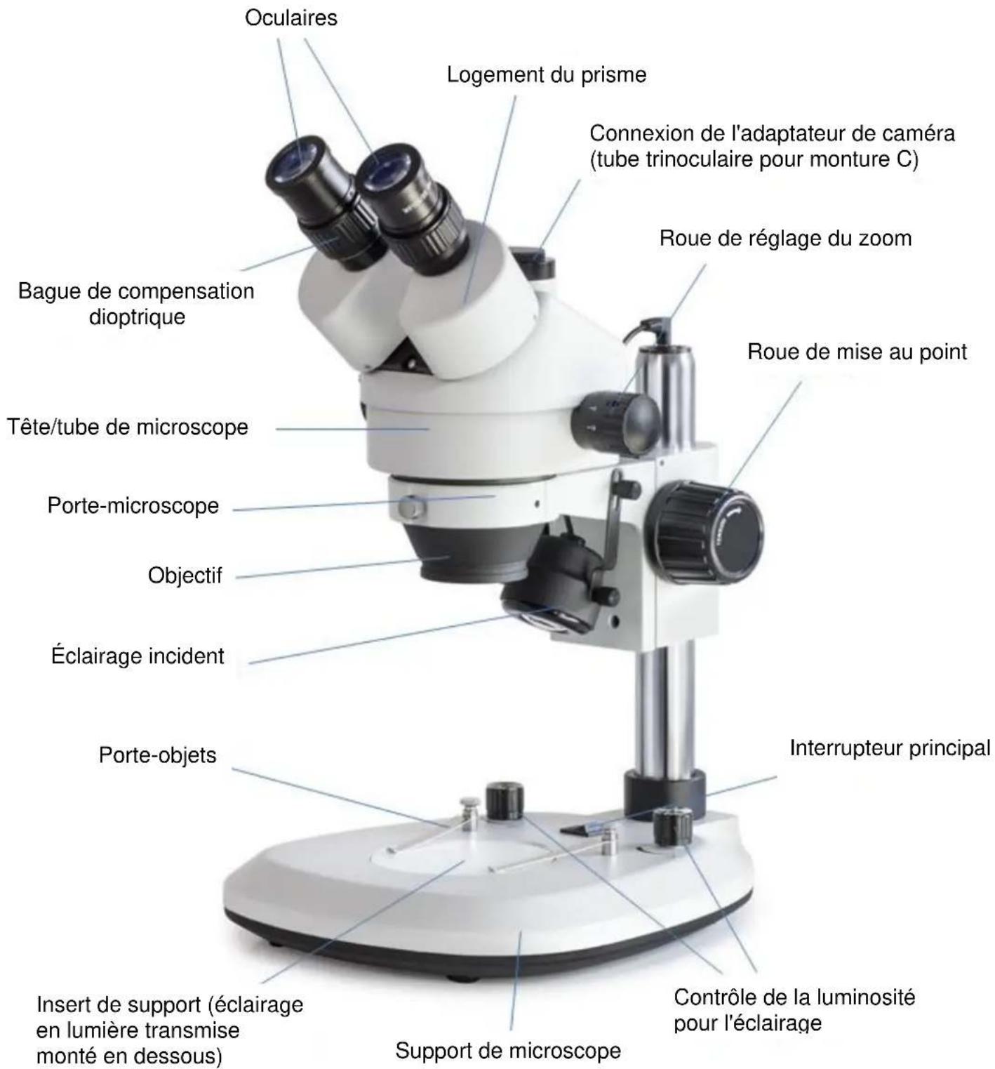 Kern OZL 462 - Nomenclature - 1