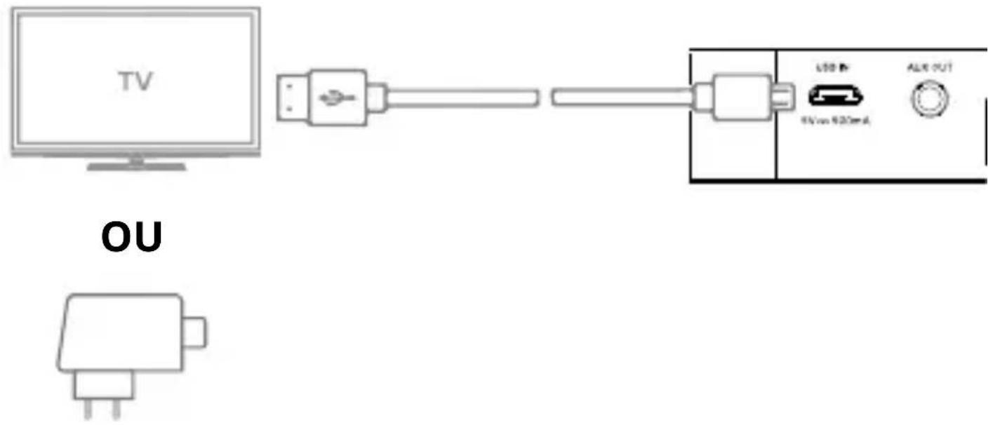 METRONIC 475251 - A) Branchement - 2