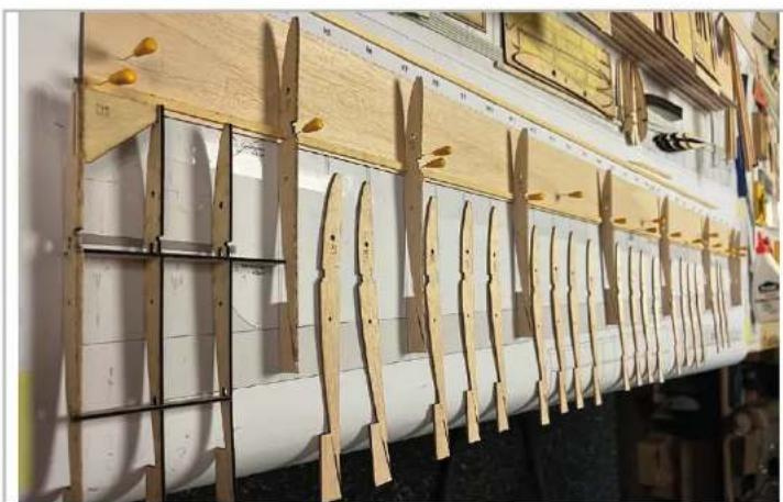 ROBBE Marabu 6 - Attention - 31