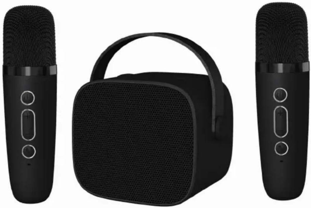 BIGBEN PARTYK2MIC - Enceinte Bluetooth et deux microphones - 1