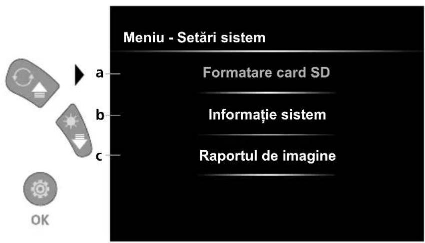 Laserliner VideoInspector XXL - Modul de setare: Setari systemd - 1
