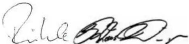 Flex CA 10.818.0 - CE-Megfelelőség - 1