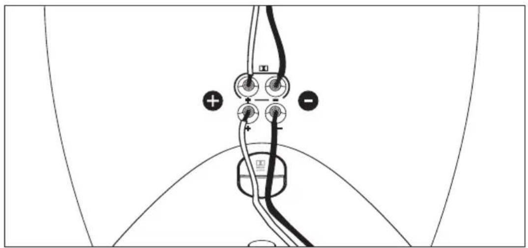 FOCAL Sib Evo Pack 5.1 - Sib Evo - Sib Evo Dolby AtmoS® - 4