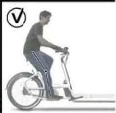 Urban Arrow Tender 1000 - Anpassung des Fahrrads - 6