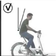 Urban Arrow Tender 1000 - Bikefit - 2