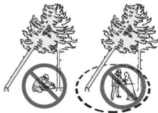 HUSQVARNA 560 XP Mark II - So befreienn Sie einen eingeklemmten Baum - 2