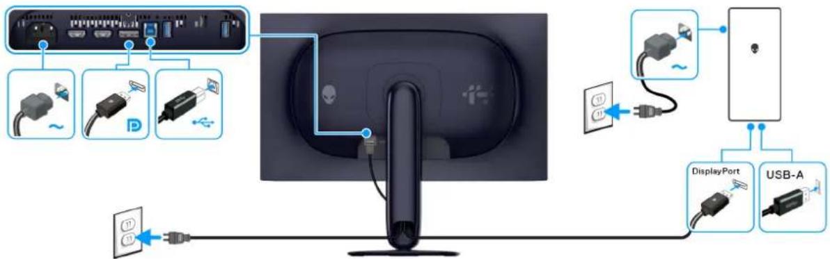ALIENWARE AW2725Q - Connexion du câble DisplayPort (DP vers DP) - 1