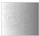 BOSCH SHP78DP5N - Papier abrasif - 1