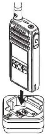 MOTOROLA DTR700 - AVIS: - 1