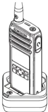 MOTOROLA DTR700 - Bloc d'alimentation et SUC à support de charge - 1
