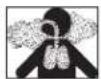 3M N95 - POUR OBTENIR DE PLUS AMPLES RENSEIGNEMENTS/FOR MORE INFORMATION - 1