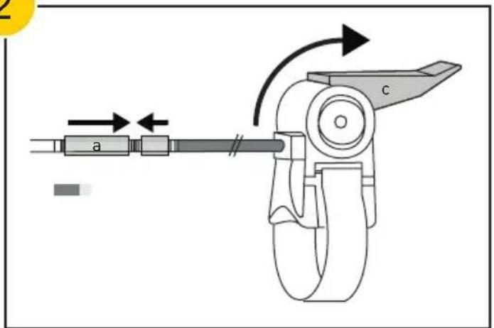 Saris Mag - EN - 2