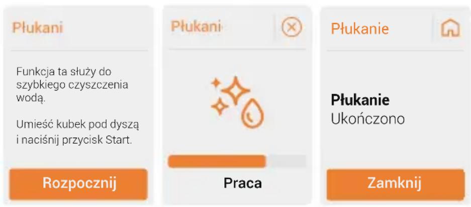 BEKO CaffeExperto CEG 7348 B - Funkcja płukania - 1