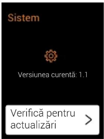 BEKO CaffeExperto CEG 7348 B - Actualizare de software - 3