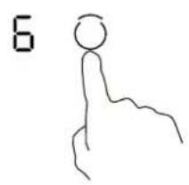 6