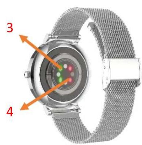 SMARTY 2.0 SW1348H - VISTA ANTERIORE E POSTERIORE - 2