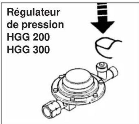 EINHELL HGG 120 Niro - Combustible - 2