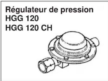 EINHELL HGG 120 Niro - Combustible - 1