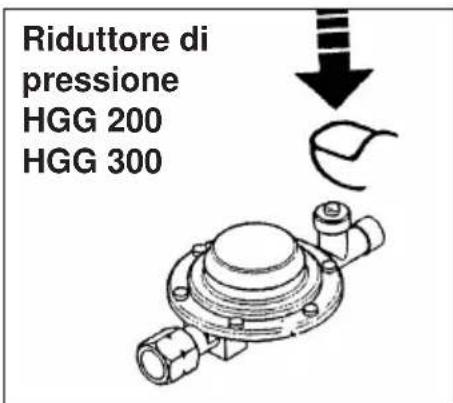 EINHELL HGG 120 Niro - Combustible - 2