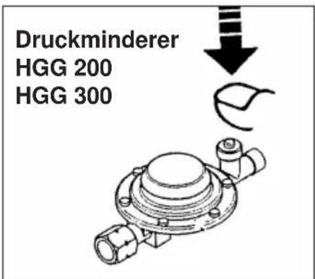 EINHELL HGG 120 Niro - Brennstoff: - 2