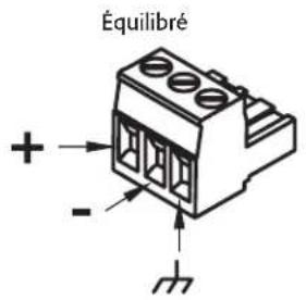 Équilibré + - -