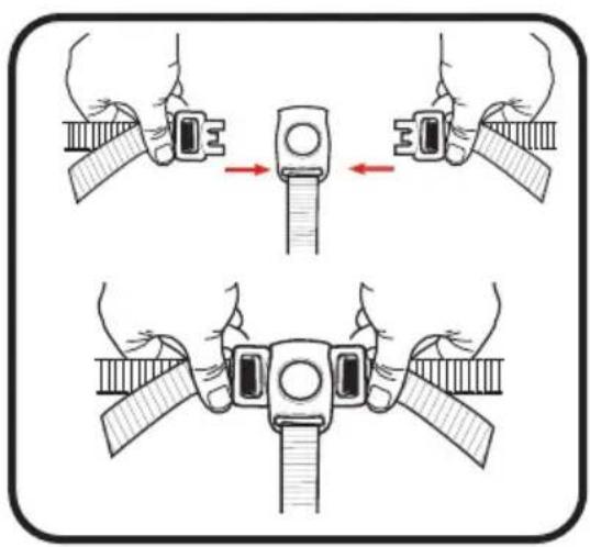 GRACO Ready2Grow 2.0 - Point Harness (Front and Elevated Rear Seats Only) - Harnais à 3 point (Sièges avant et arrrière surélevé) - Arnés de 3+puntos(Asientos delantero y trasero elevado) - 4