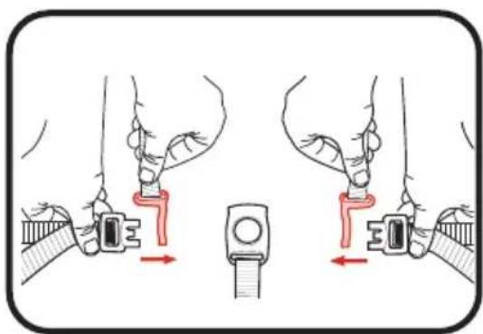 GRACO Ready2Grow 2.0 - Point Harness (Front and Elevated Rear Seats Only) - Harnais à 3 point (Sièges avant et arrrière surélevé) - Arnés de 3+puntos(Asientos delantero y trasero elevado) - 2