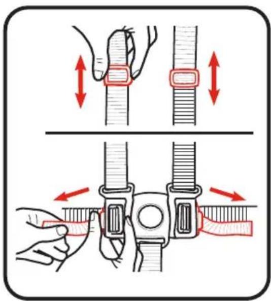 GRACO Ready2Grow 2.0 - Point Harness (Front and Elevated Rear Seats Only) • Harnais à 5 point (Sièges avant et arrêturesurélevé) • Arnés de 5+puntos(Asientos delantero ytrasero elevado) - 3