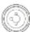 NUX Stageman II AC60 - Prise d'entree mixte - 1