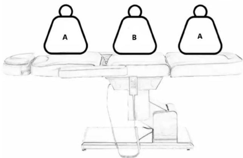 Physa Aprilia - Nosilnost - 1
