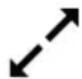 Ritter Beezer - Rotation - 1