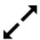 Ritter Beezer - Rotation - 1