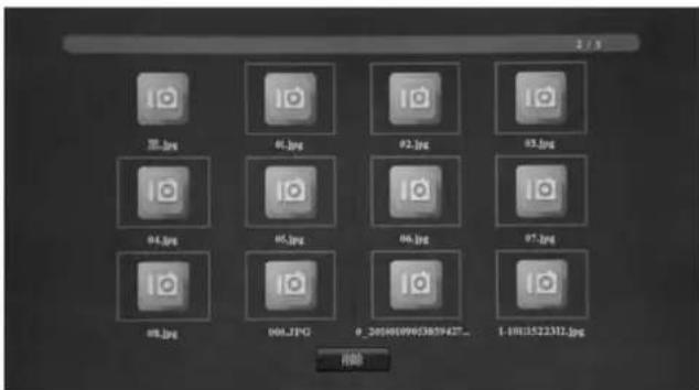 BRAUN DigiFrame 1890 - Funzione Elimina: - 1