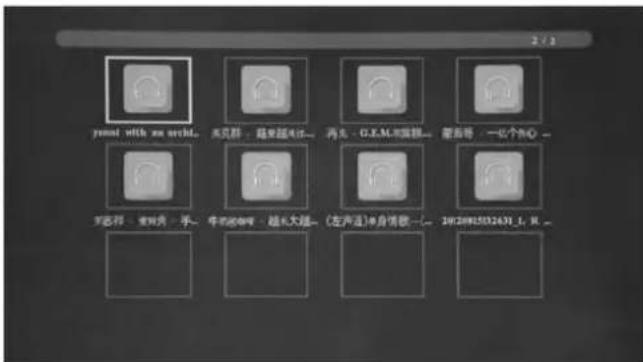 BRAUN DigiFrame 1890 - Modalità Musica/Funzione Elimina - 1