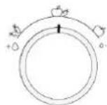 BAUKNECHT KGITN 28MM254 - Humidity Control (Feuchteregelung)* - 1