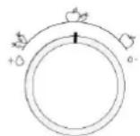BAUKNECHT KGITN 28MM254 - Humidity Control (Comando umidità)* - 1