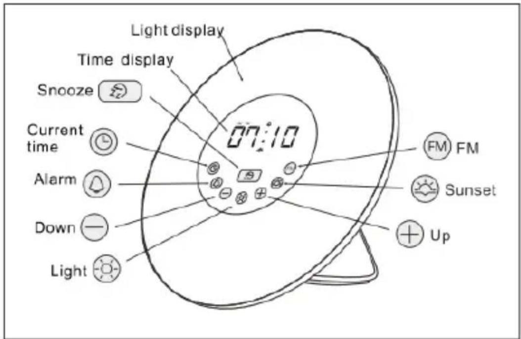 WE WEREVLUMIEREV2 - PRODUCT DISCRIPTION - 1