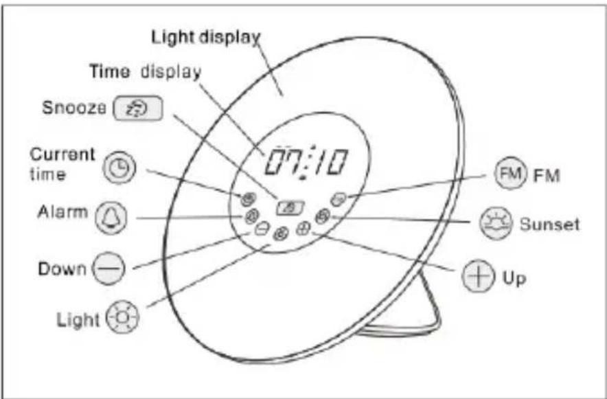 WE WEREVLUMIEREV2 - Description du produit - 1